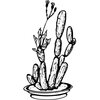 CACTUS08
