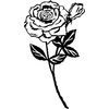 FLOWER01