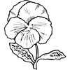 FLOWER07