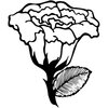 FLOWER10