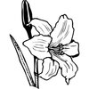 FLOWER12