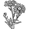FLOWER17