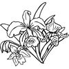 FLOWER18