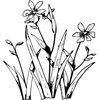 FLOWER19