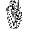 FLOWER20