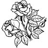 FLOWER21