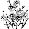 FLOWER22