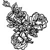 FLOWER23