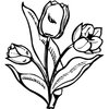 FLOWER24