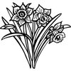 FLOWER26