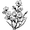 FLOWER31