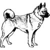 DC0030